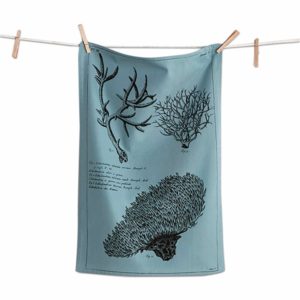 Beachcomber Dishtowel